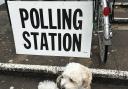 Headington hound Harry joined his human Clare Cook at the polling station.