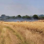 The field fire in Kidlington (Credit: TVP Cherwell)