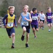 Jack Lindsay (left) won his event at the National Primary and Year 7 Cross Country Finals. Picture courtesy of Mike McSharry Images