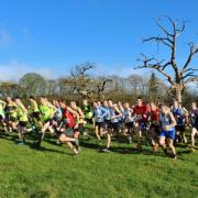 ATHLETICS: Oliver Conway shines in BB&O Cross Country Championships
