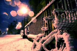 White snow winter scene in the city centre.

Picture: Ed Nix