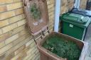 Cherwell District Council could increase garden waste collection price