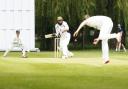 Twyford’s Shahid Mahmood gets ready to pull this delivery from Abingdon Vale’s Joe Butcher Picture: Ed Nix