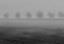 File image of dense countryside fog