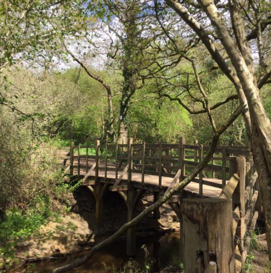 Bicester Advertiser: Ashdown Forest. Credit: Tripadvisor Bicester Advertiser: Ashdown Forest. Credit: Tripadvisor