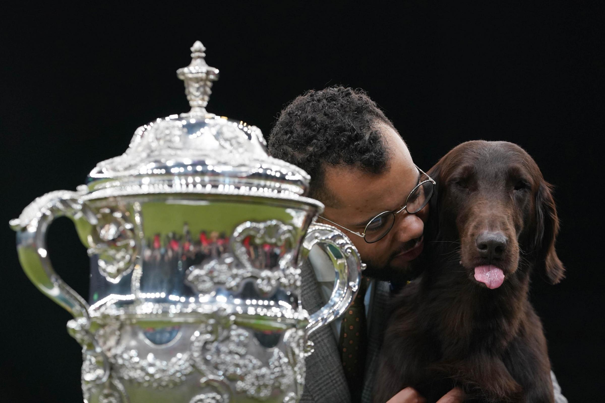 Baxer the flat-coated retriever crowned Best in Show at Crufts - Vimarsana News