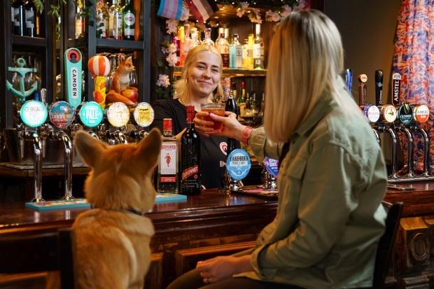 Bicester Advertiser: Take a Corgi for a free 'Queen's Tipple' over the Platinum Jubilee weekend. Picture: Greene King