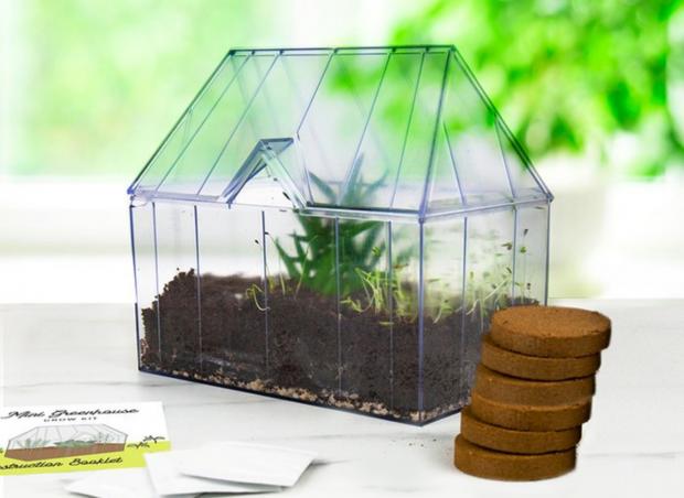 Bicester Advertiser: Mini Greenhouse Kit (Moonpig)