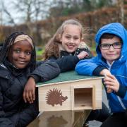 Children at St. Edburg's Primary School pleased with their new hedgehog home. Picture: Barratt Homes