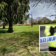 Three teenagers in custody after man stabbed in park: Everything we know so far