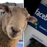 Banbury man caught with sheep pornography walks from court