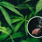 REVEALED: 200,000 new cannabis users expected in Thames Valley if drug legalised. Picture: Unsplash