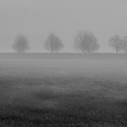 File image of dense countryside fog