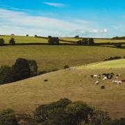 Organisations invited to submit ideas for rural development