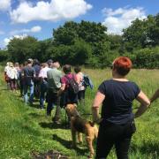 Dominic Woodfield leading a guided walk on the Meadows.