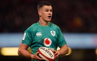 Ireland captain Johnny Sexton has declared himself fit for the visit of France
